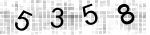 capatch
